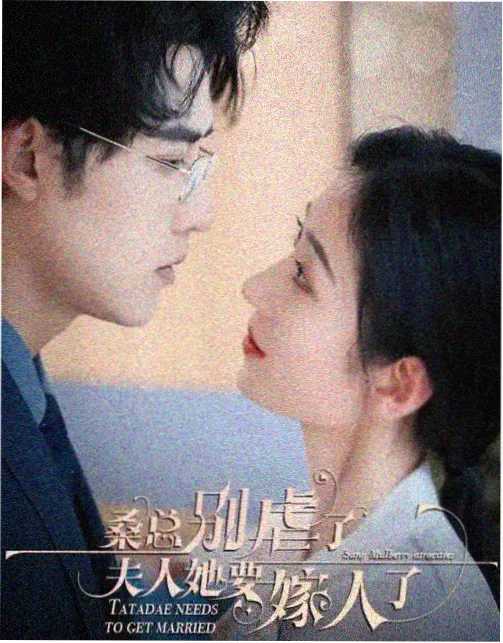 策驰影视在线完整免费观看 老友记
